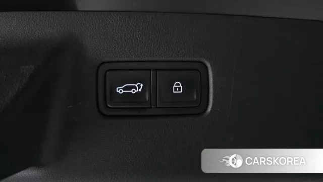 Hyundai Santa Fe (MX5) id 3776366 из Кореи 10