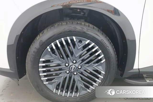 Nissan Exploring the land id 4307145 из Китая 10