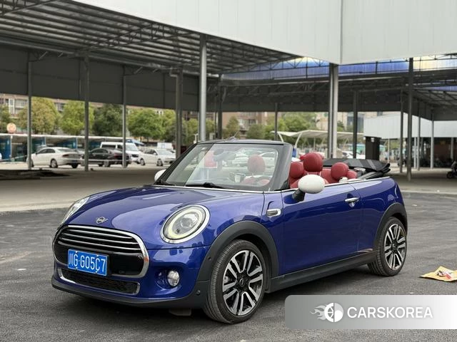 MINI MINI id 4216361 из Китая 10