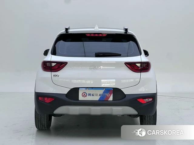 Kia Yi Ran id 4333836 из Китая 10