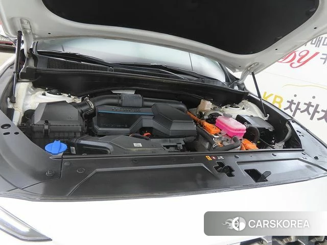 Hyundai The New Santa Fe id 4535082 из Кореи 10