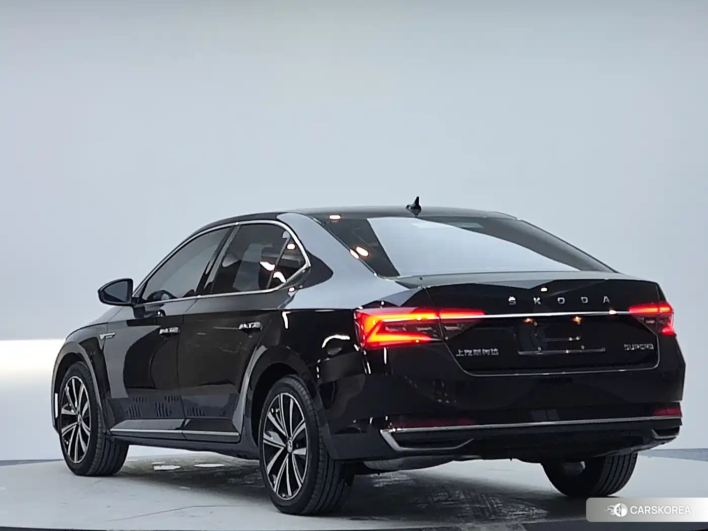 Skoda Speed pie id 4545666 из Китая 10