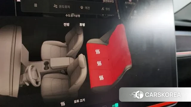 Tesla Model 3 id 3535760 из Кореи 10