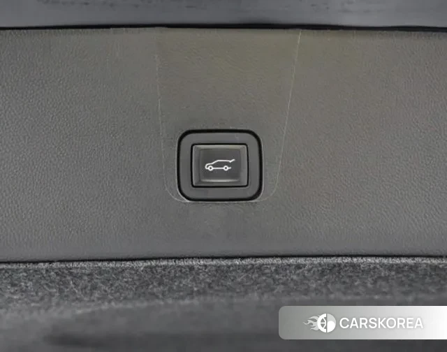 Chevrolet (GM Daewoo) Traverse id 3388621 из Кореи 10