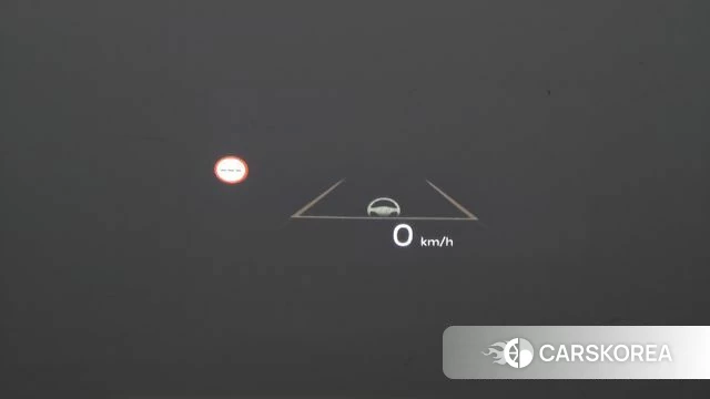 Kia The New Carnival 4th Generation id 4177762 из Кореи 10