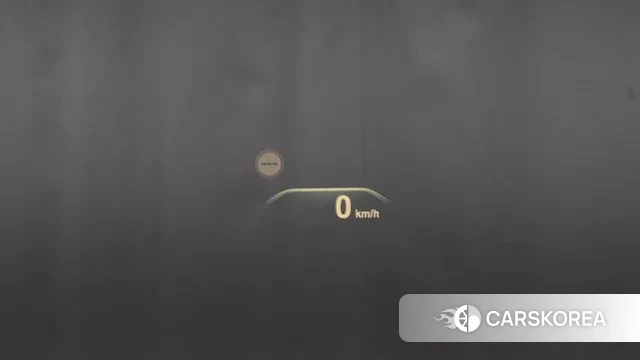 BMW X4 (G02) id 3034010 из Кореи 10