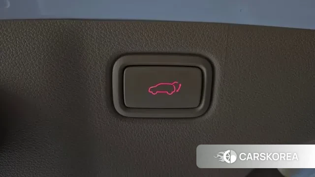 Kia The New Carnival id 3504754 из Кореи 10