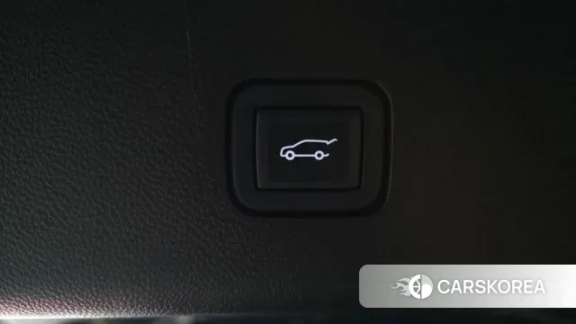 Chevrolet (GM Daewoo) Traverse id 3335014 из Кореи 10