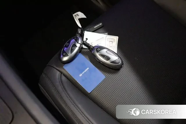 Hyundai Santa Fe (MX5) id 3370900 из Кореи 10