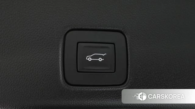 Chevrolet (GM Daewoo) Trailblazer id 4625498 из Кореи 10
