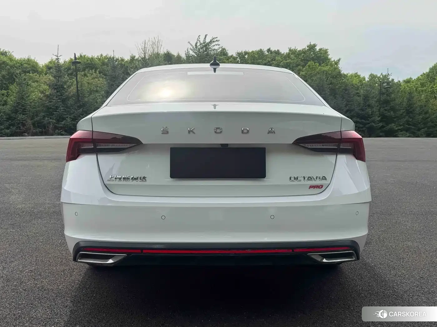 Skoda Octavia id 4622290 из Китая 10