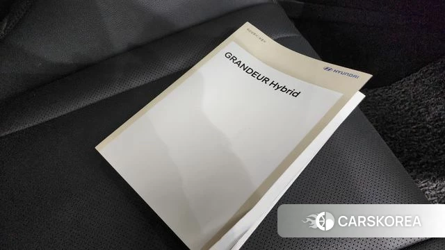 Hyundai Grandeur Hybrid (GN7) id 4898542 из Кореи 10