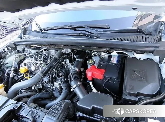 Renault Korea (Samsung) Capture id 3443977 из Кореи 10