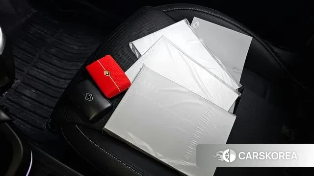 Renault Korea (Samsung) XM3 id 3764318 из Кореи 10