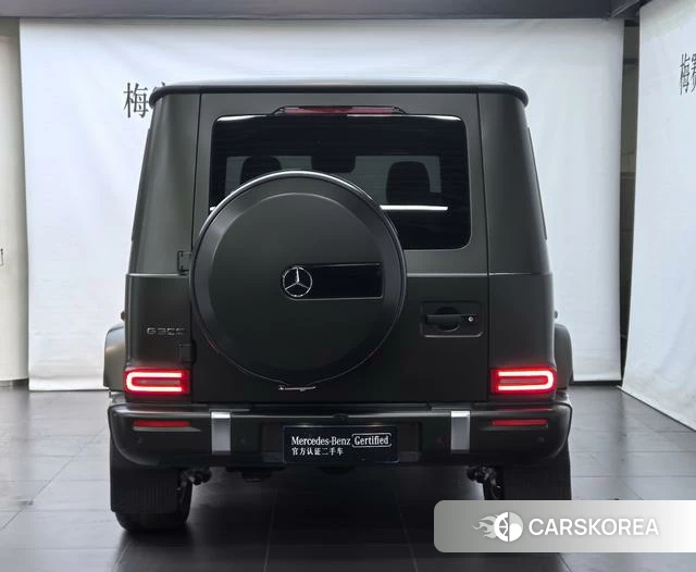 Mercedes-Benz G-class id 4205710 из Китая 10