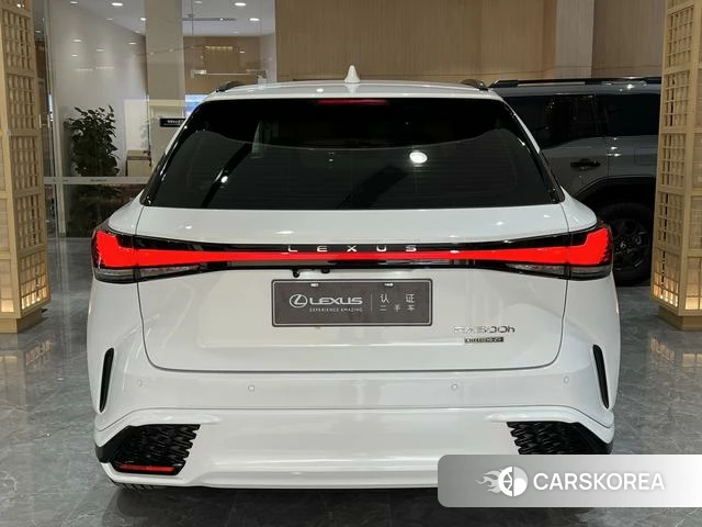 Lexus RX id 4276271 из Китая 10