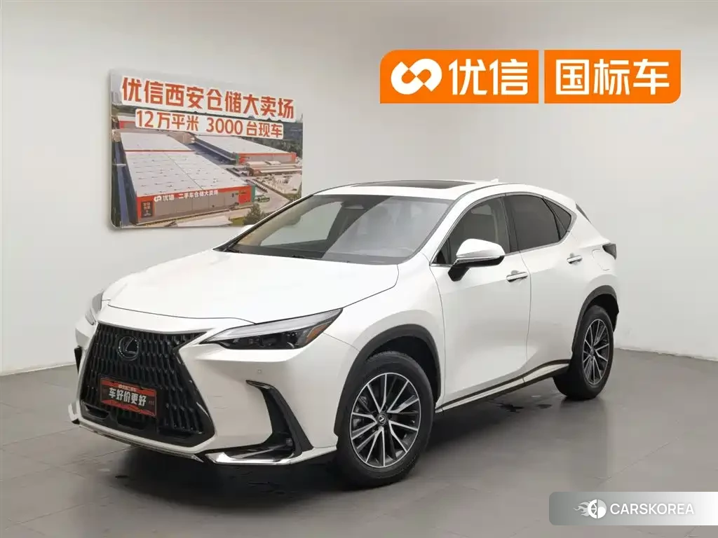 Lexus NX id 4589120 из Китая 10