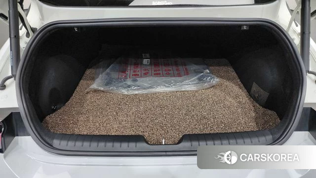 Hyundai Ionic 6 id 4631090 из Кореи 10