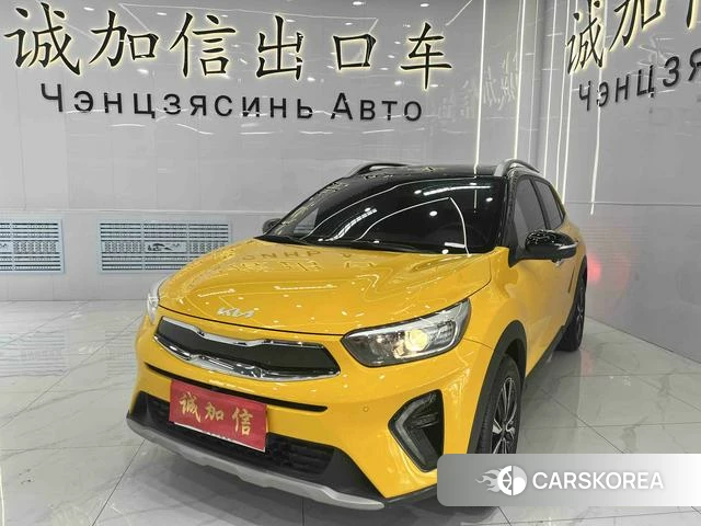 Kia Yi Ran id 4263212 из Китая 10