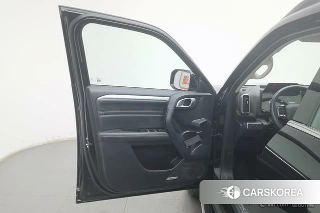 Haval Big dog id 4210237 из Китая 10
