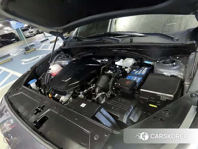 Hyundai The New Santa Fe id 3567564 из Кореи 10