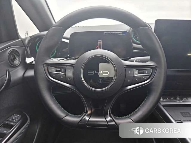 BYD dolphin id 3957663 из Китая 10