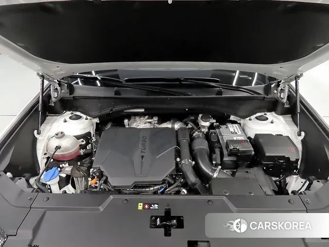 Hyundai Santa Fe (MX5) id 3726005 из Кореи 10