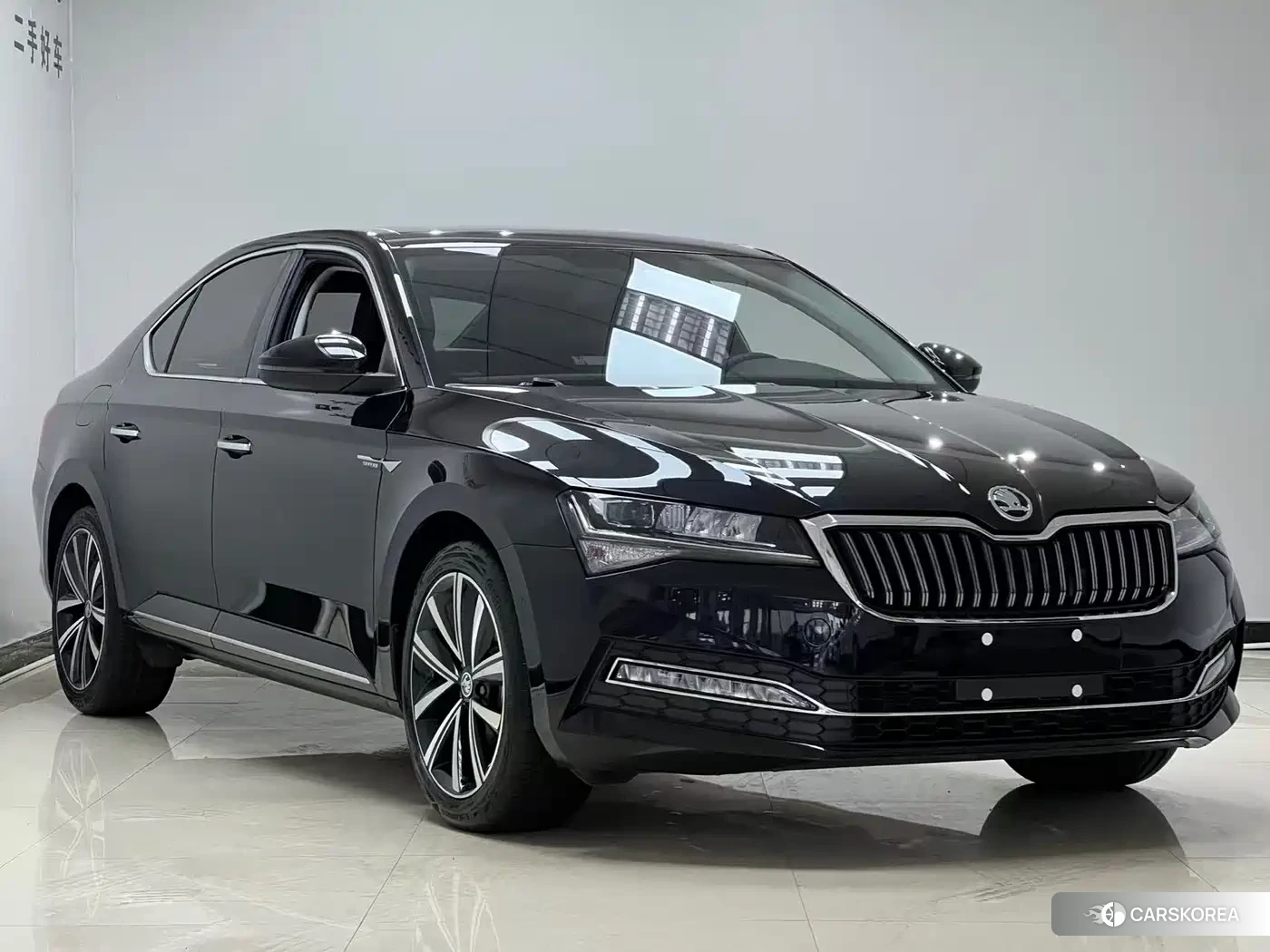 Skoda Speed pie id 4548085 из Китая 10