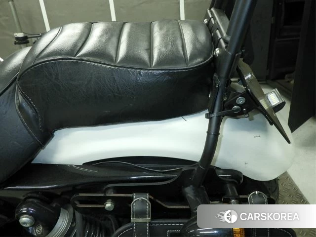 Проданный Harley-Davidson Sportster XL1200NS IRON id 3997819 из Японии, фото 10