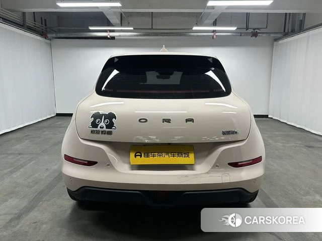 Euler Good cat id 4213919 из Китая 10