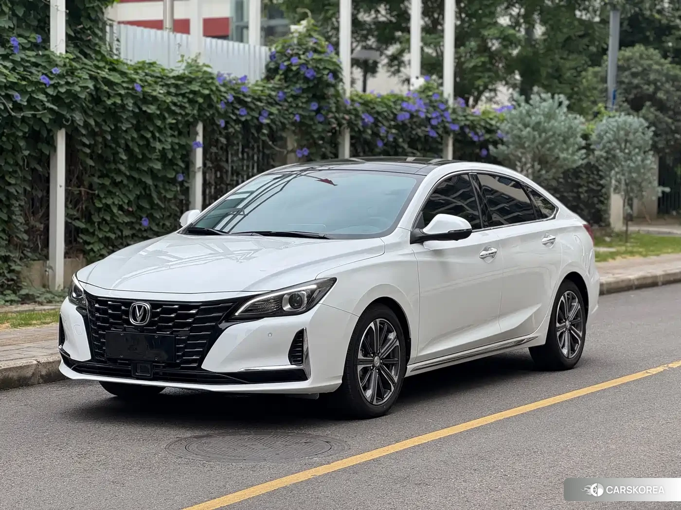 Chang'an Ruicheng CC id 4545882 из Китая 10
