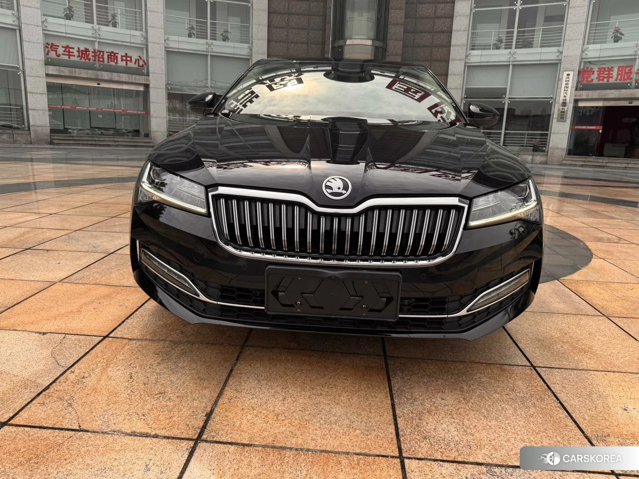 Skoda Speed pie id 4461990 из Китая 10