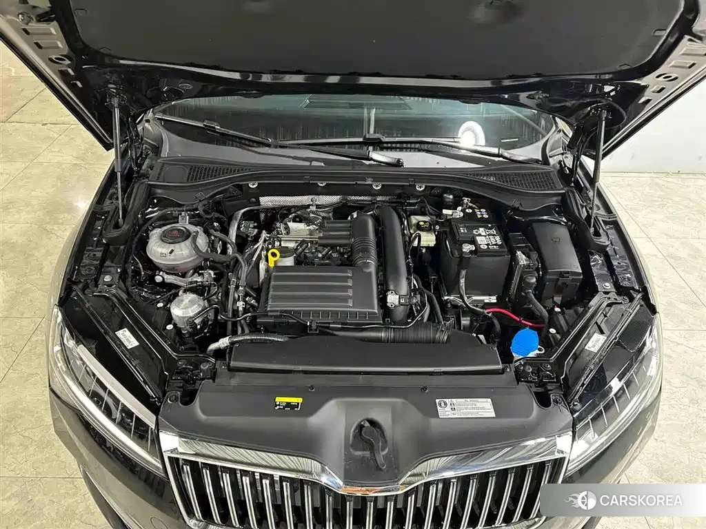 Skoda Speed pie id 4565175 из Китая 10