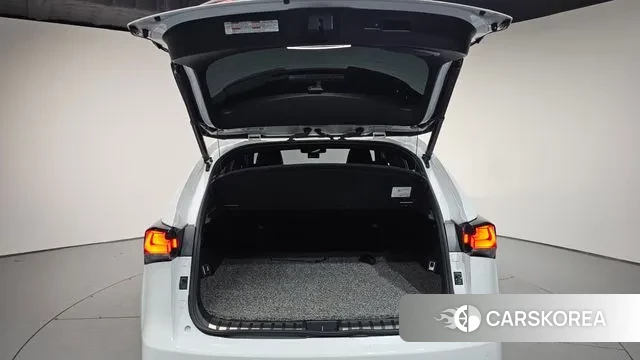 Lexus NX300 id 3390730 из Кореи 10