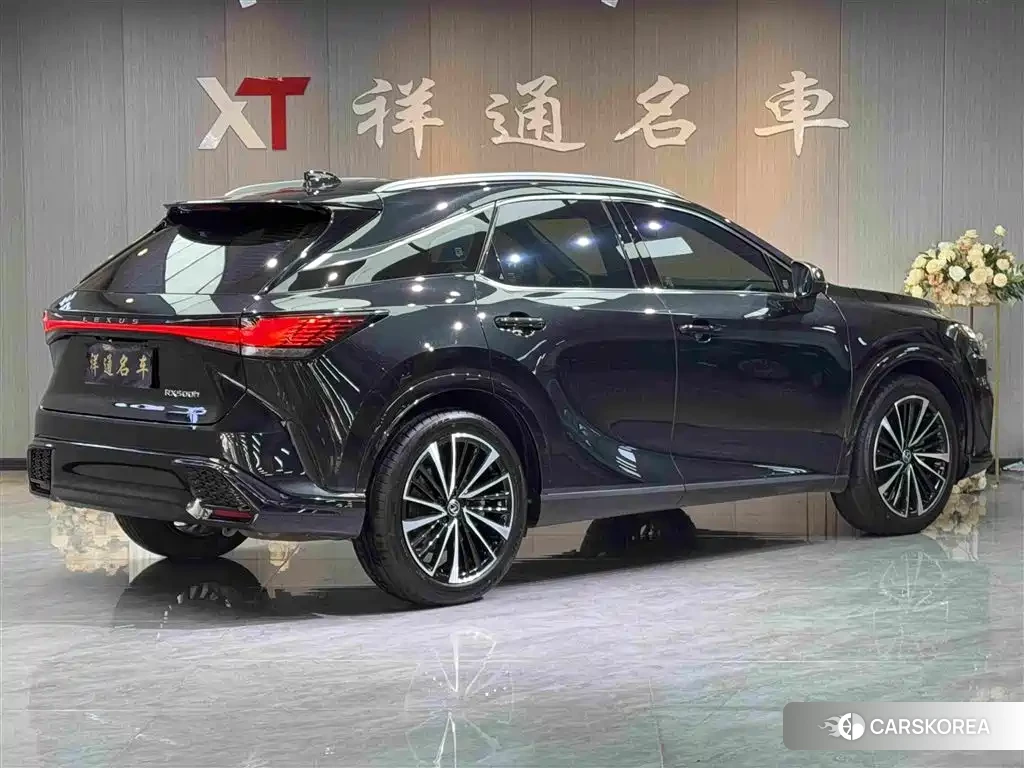 Lexus RX id 4559793 из Китая 10