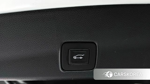 Chevrolet (GM Daewoo) Trailblazer id 4194783 из Кореи 10