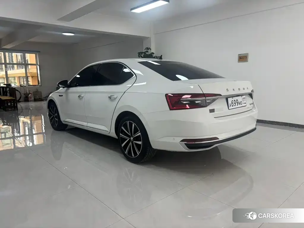 Skoda Speed pie id 4553923 из Китая 10