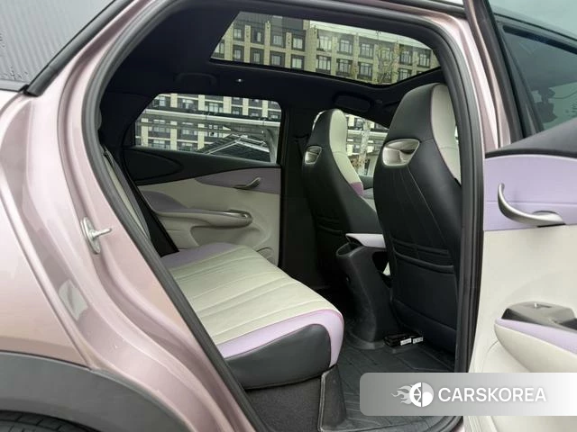 BYD dolphin id 4211195 из Китая 10