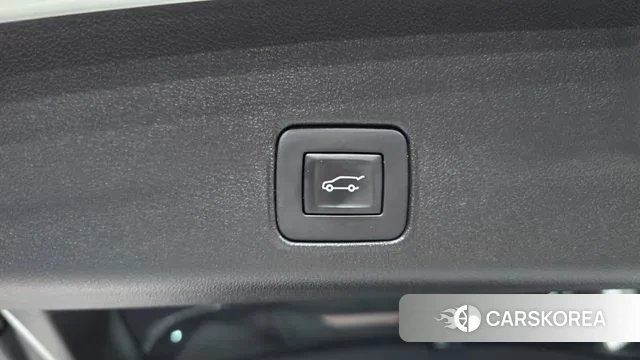 Chevrolet (GM Daewoo) Trailblazer id 3566541 из Кореи 10