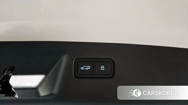 Hyundai Santa Fe (MX5) id 3544274 из Кореи 10