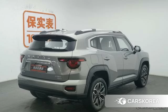 Haval Big DOG PLUS PHEV id 4210256 из Китая 10