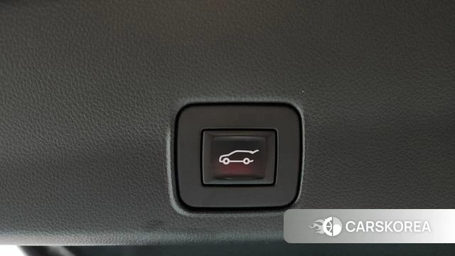 Chevrolet (GM Daewoo) Trailblazer id 4936583 из Кореи 10