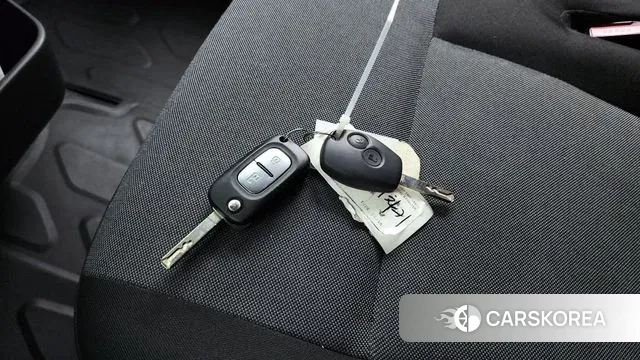 Renault Korea (Samsung) Master id 3464364 из Кореи 10