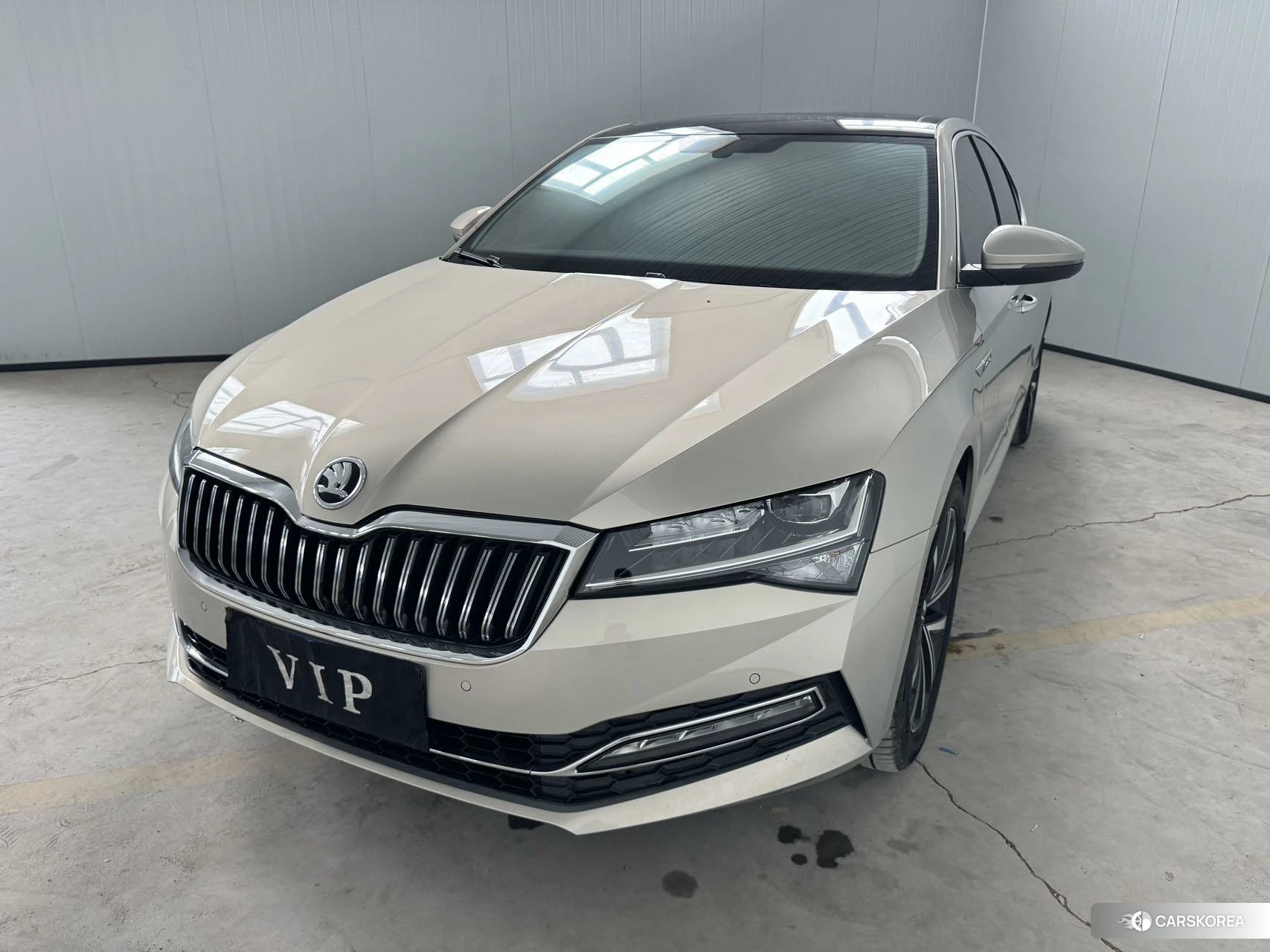 Skoda Speed pie id 4426497 из Китая 10