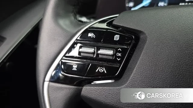 Kia Di Ol Nu Niro id 3524078 из Кореи 10