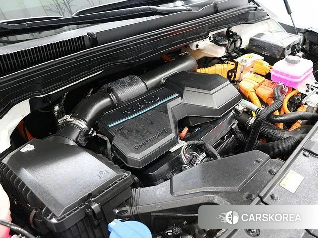 Kia The New Carnival 4th Generation id 3896840 из Кореи 10