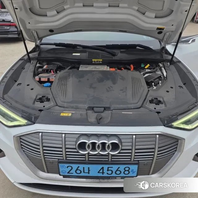 Audi e-Tron id 3694945 из Кореи 10