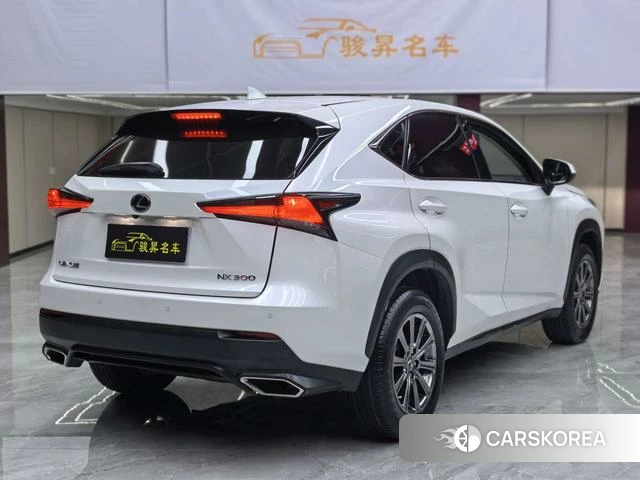 Lexus NX id 4221260 из Китая 10