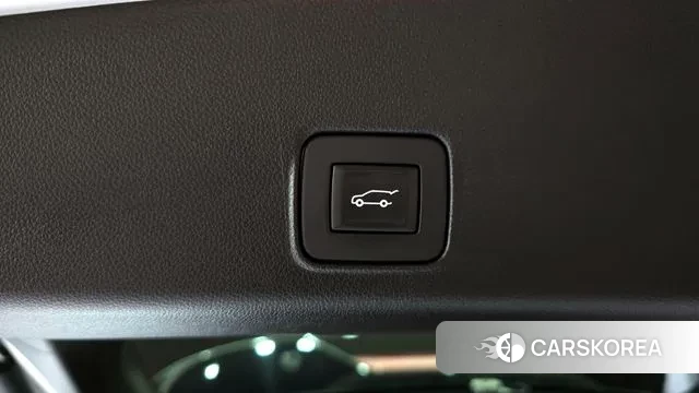 Chevrolet (GM Daewoo) Trailblazer id 3028274 из Кореи 10