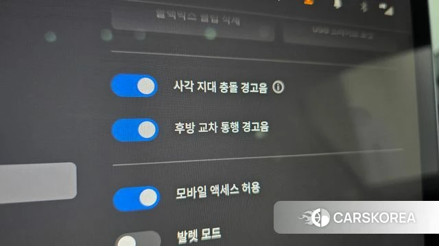 Tesla Model 3 id 3859384 из Кореи 10